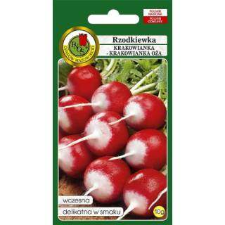 RZODKIEWKA KRAKOWIANKA OŻAROWSKA 10g