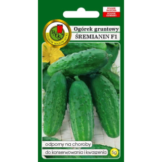 OGÓREK GRUNTOWY ŚREMIANIN  F1 5g,.