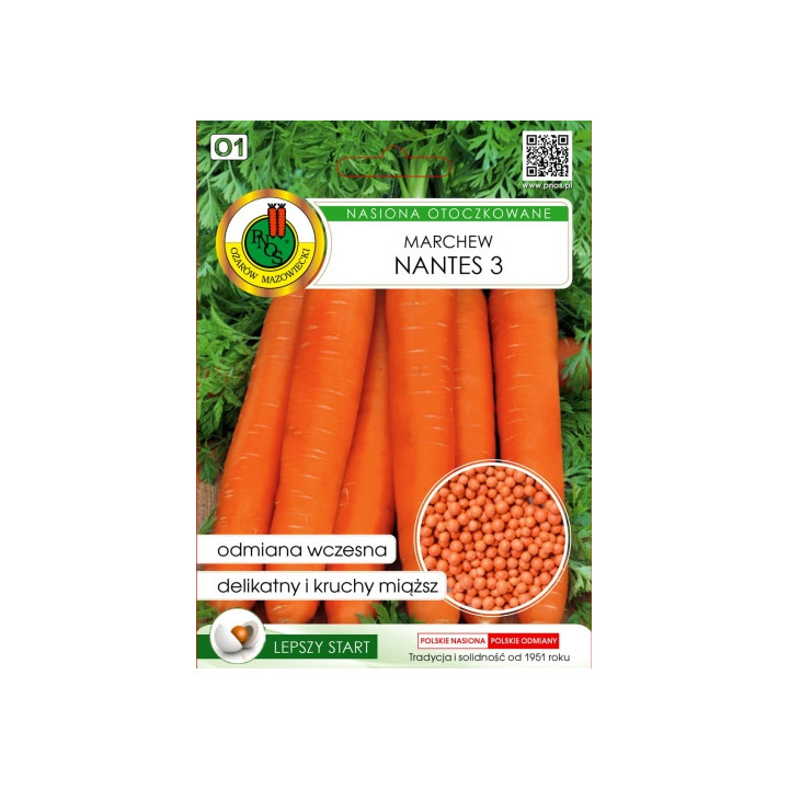 MARCHEW JADALNA NANTES 3  300z OTOCZKA