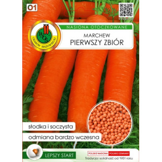 MARCHEW JADALNA PIERWSZY ZBIÓR 300z OTOCZKA