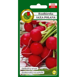 RZODKIEWKA SAXA POLANA 10g