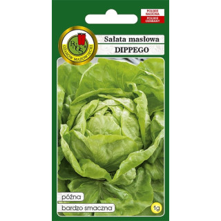 SAŁATA GŁOWIASTA MASŁOWA DIPPEGO 1g