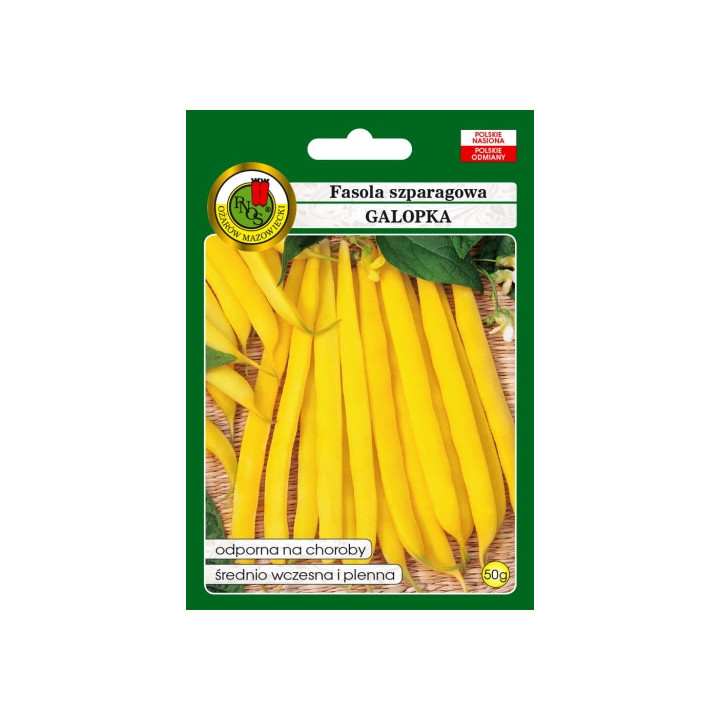 FASOLA SZPARAGOWA ŻÓŁTA KARŁOWA GALOPKA 50g