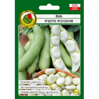 BÓB WHITE WINDSOR 50g