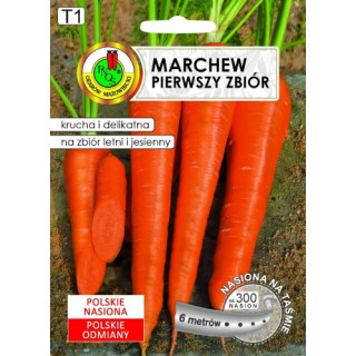 MARCHEW JADALNA PIERWSZY ZBIÓR 6m