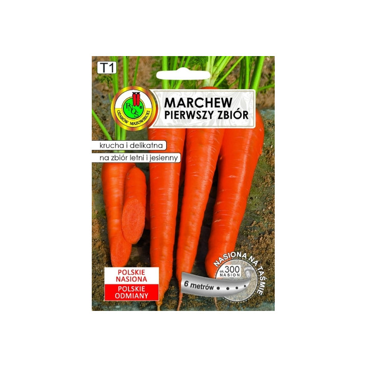 MARCHEW JADALNA PIERWSZY ZBIÓR 6m