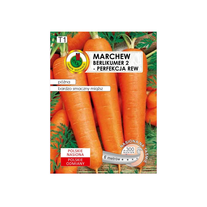 MARCHEW JADALNA BERLIKUMER 2 6m