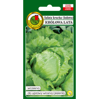 SAŁATA GŁOWIASTA KRUCHA KRÓLOWA LATA 1g,.