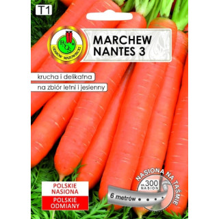 MARCHEW JADALNA NANTES 3 6m,.