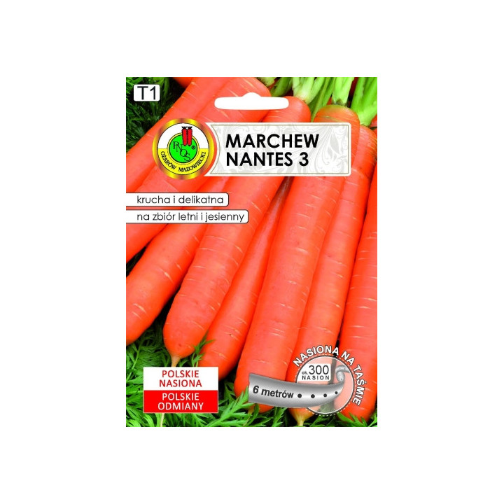 MARCHEW JADALNA NANTES 3 6m,.