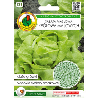 SAŁATA GŁOWIASTA MASŁOWA KRÓLOWA MAJOWYCH 100z