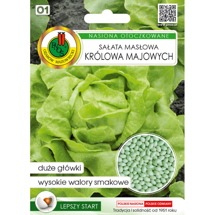 SAŁATA GŁOWIASTA MASŁOWA KRÓLOWA MAJOWYCH 100z