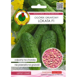 OGÓREK GRUNTOWY LOKATA F1 5g INKRUSTOWANY