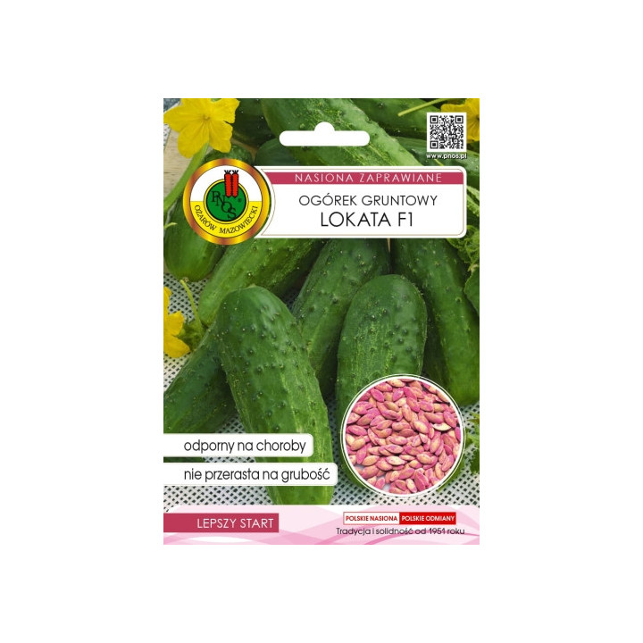 OGÓREK GRUNTOWY LOKATA F1 5g INKRUSTOWANY