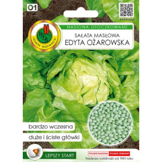 SAŁATA GŁOWIASTA MASŁOWA EDYTA OŻAROWSKA 100z OT.,.