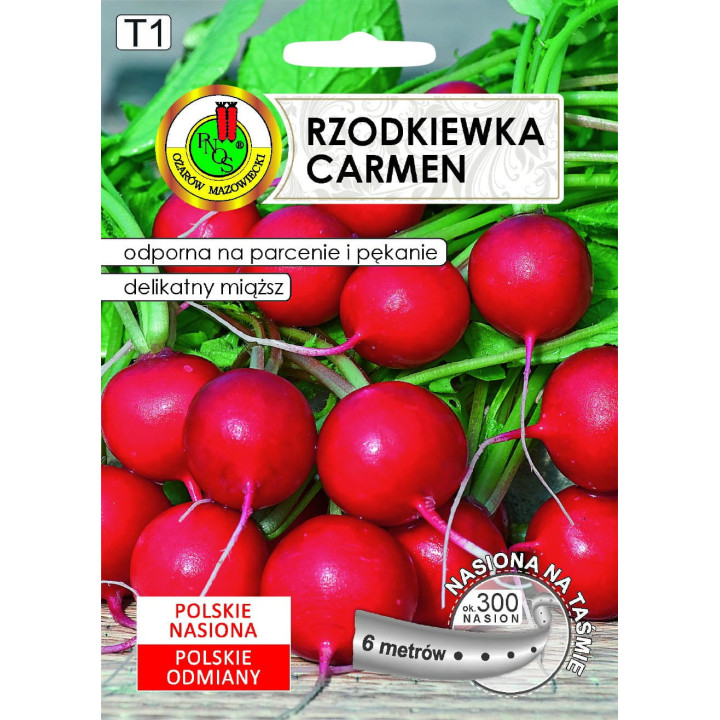 RZODKIEWKA CARMEN 6m