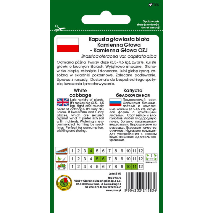 KAPUSTA GŁOWIASTA BIAŁA KAMIENNA GŁOWA OZJ 5g