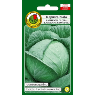 KAPUSTA GŁOWIASTA BIAŁA KAMIENNA GŁOWA OZJ 5g