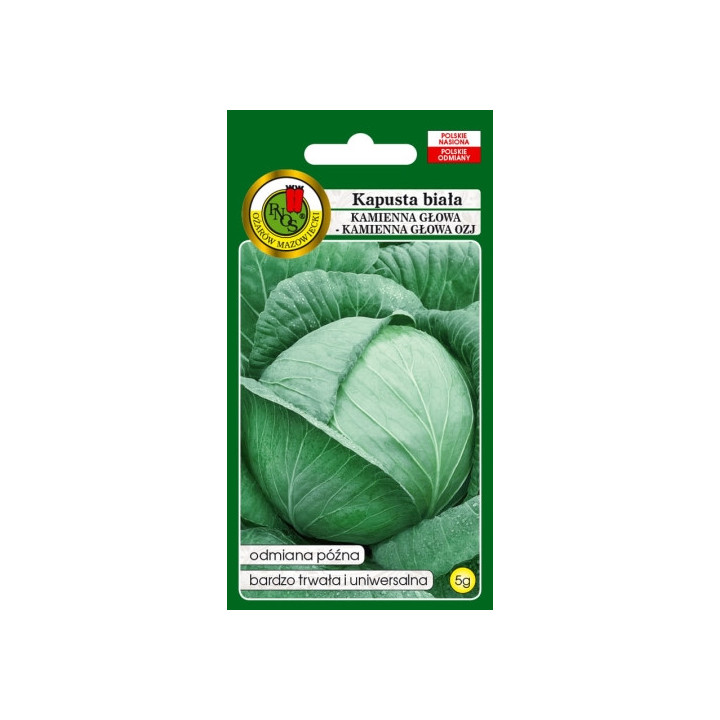 KAPUSTA GŁOWIASTA BIAŁA KAMIENNA GŁOWA OZJ 5g