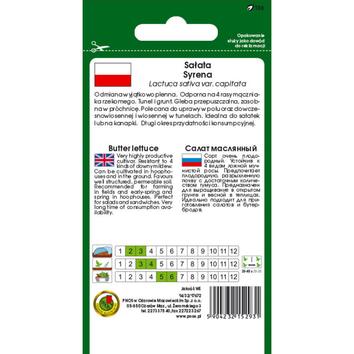 SAŁATA GŁOWIASTA MASŁOWA SYRENA 1g