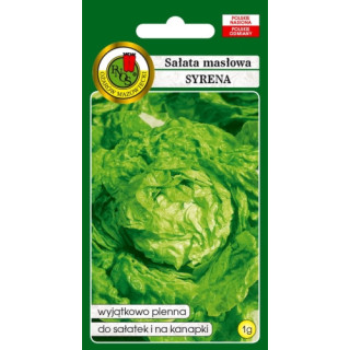 SAŁATA GŁOWIASTA MASŁOWA SYRENA 1g