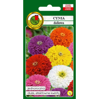 CYNIA DALIOWA MIESZANA 1g