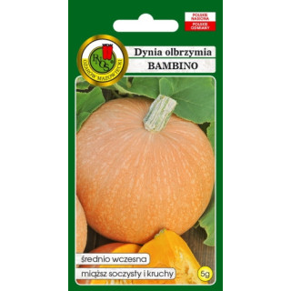 DYNIA OLBRZYMIA BAMBINO 5g,.