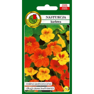 NASTURCJA KARŁOWA MIESZANA 6g