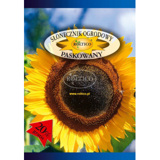 Słonecznik ogrodowy paskowany 10g