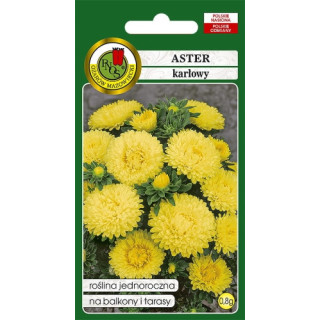 ASTER KARŁOWY ŻÓŁTY 0,8g