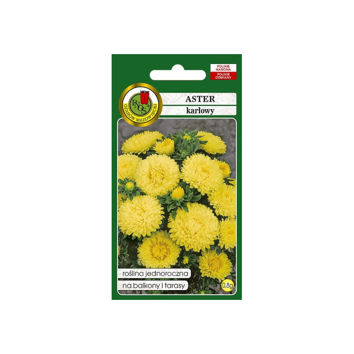 ASTER KARŁOWY ŻÓŁTY 0,8g