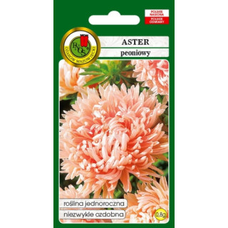ASTER PEONIOWY ŁOSOSIOWORÓŻOWY 0,8g