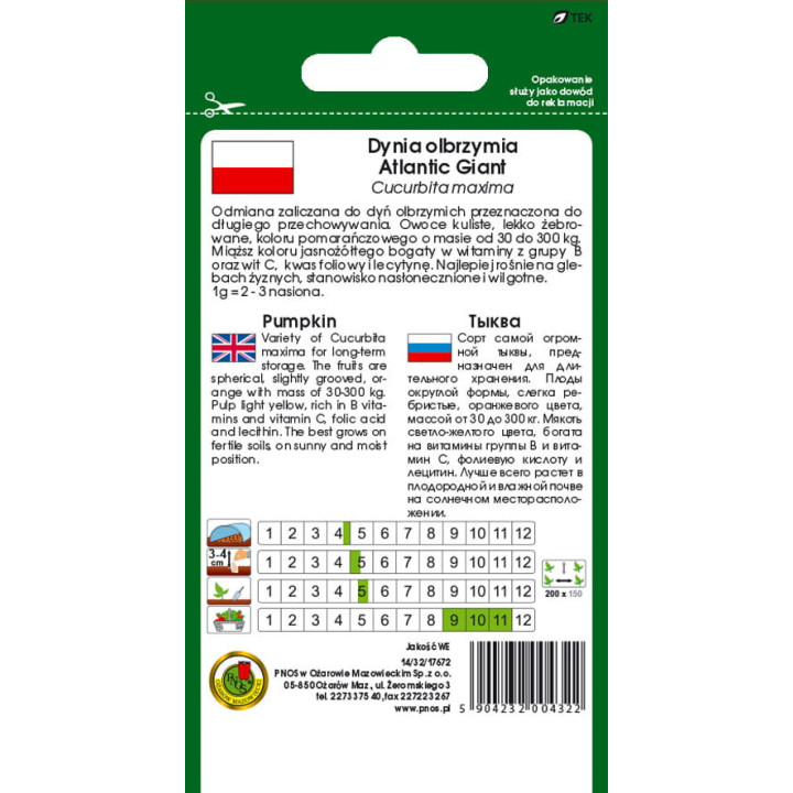 DYNIA OLBRZYMIA ATLANTIC GIANT 3g,.