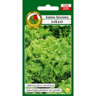 SAŁATA LIŚCIOWA LOLLO 1g świetna do sałatek