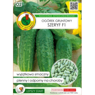 OGÓREK GRUNTOWY SZERYF F1 50z OT