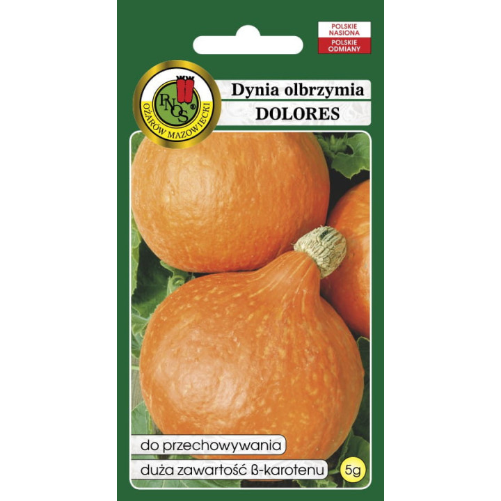 DYNIA OLBRZYMIA DOLORES 5g