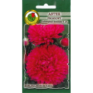 ASTER PEONIOWY ROŻOWOPURPUROWY 0,8g