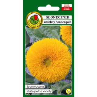 SŁONECZNIK OZDOBNY SONNENGOLD NISKI ŻÓŁTY 2g