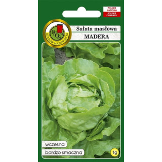 SAŁATA GŁOWIASTA MASŁOWA MADERA 1g