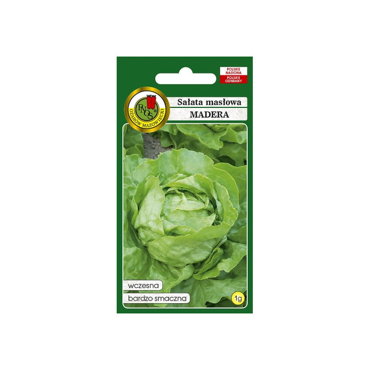 SAŁATA GŁOWIASTA MASŁOWA MADERA 1g