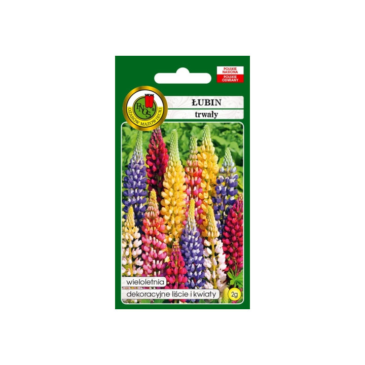 ŁUBIN TRWAŁY RUSSEL MIESZANY 2g