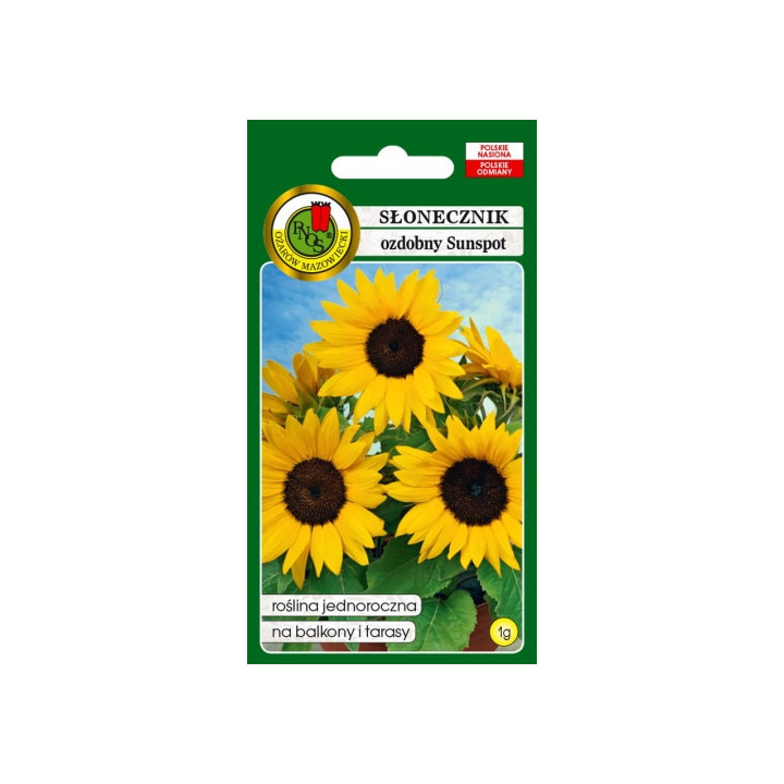 SŁONECZNIK OZDOBNY SUNSPOT NISKI ŻÓŁTY 1g