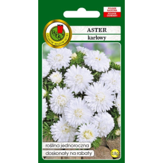 Aster karłowy biały 0,8g