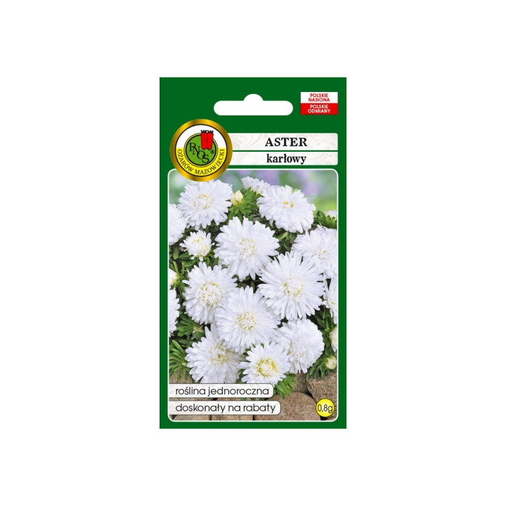 Aster karłowy biały 0,8g