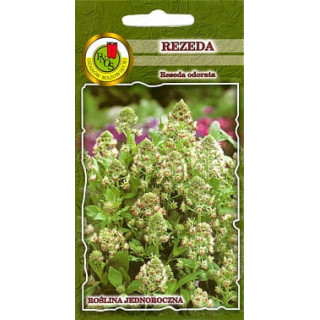 REZEDA WONNA 2g