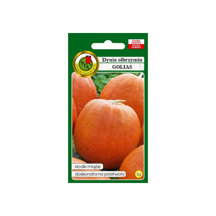 DYNIA OLBRZYMIA GOLIAS 3g