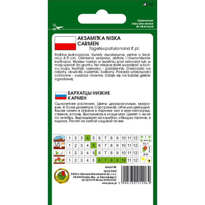 AKSAMITKA PEŁNA NISKA CARMEN KARMAZYNOWO-MIODOWY 1g