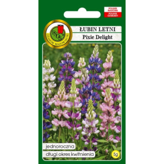 ŁUBIN LETNI PIXIE DELIGHT MIESZANY 5g