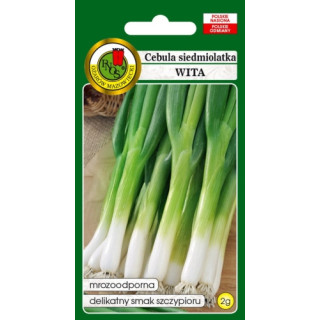 CEBULA SIEDMIOLATKA WITA 2g