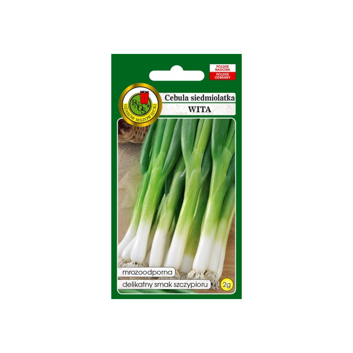 CEBULA SIEDMIOLATKA WITA 2g